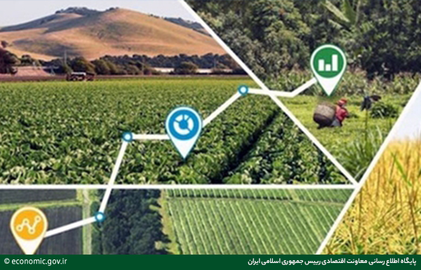 حوزه کشاورزی و صنایع غذایی با ورودنوآوری و فناوری توسعه یافت